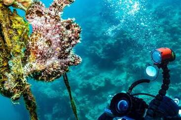 Bedouin Garden Village, Hotel Dive