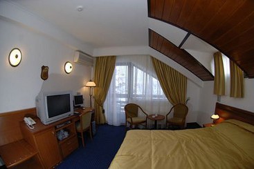 پانسیون Drachenhaus Poiana Brasov