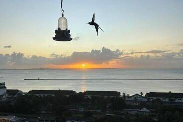 هتل Pousada Beija Flor