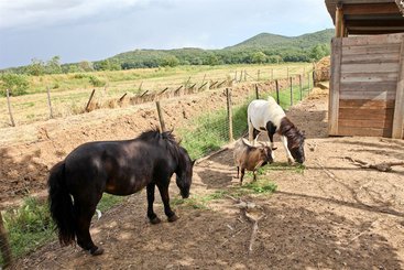 Agriturismo Da Lorena