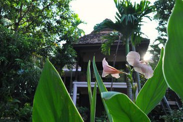 استراحتگاه The River Garden Siem Reap