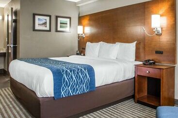 בית מלון כפרי Comfort Inn Hammond I94