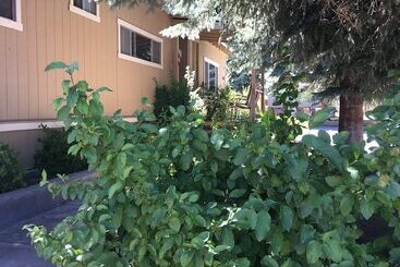 ホテル Lake View Lodge