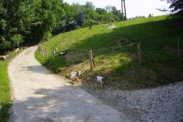 茅舍 Bauernhof Kasleitner