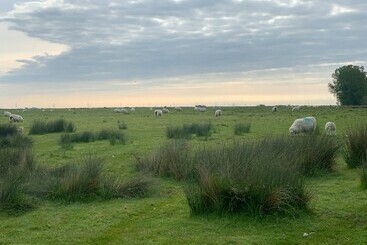 Beautiful Camber Sands Home Away From Home