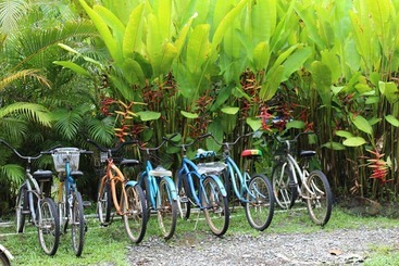 Eco Travel Hostel