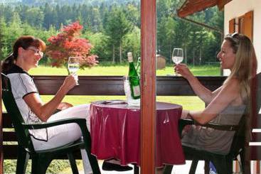 هتل Garni Pension Zur Wacht