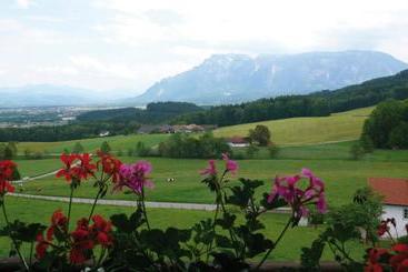 پانسیون Gasthaus Ulrichshögl