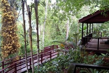 פנסיון Belize Botanic Gardens  Cottages And Jungle Guest House