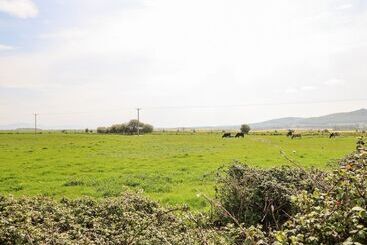 بيت ريفى Chy Bean