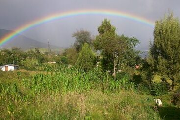 پانسیون The Lost Leprechaun Ecohostel