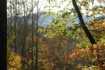 بيت ريفى Turkey Feather Nevaeh Cabin Rentals