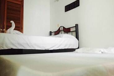 Bananas Hostel