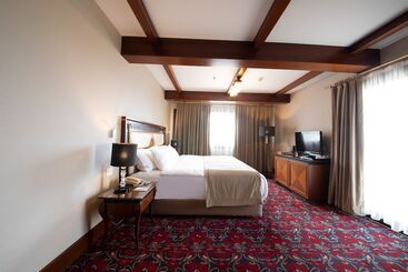 Отель Atatürk Palas Thermal Spa & Convention Center