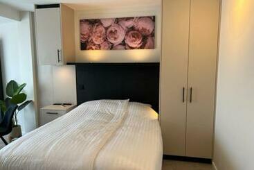 Aparthotel Casa Del Cisne 3