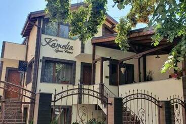 فندق Kamelia Guest Rooms