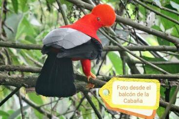 فندق صغير Hostal Y Cabañas Los Juanes