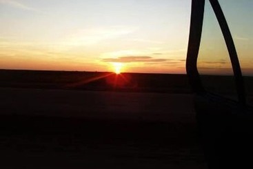 Riyad Des Palmiers Hotel Restau