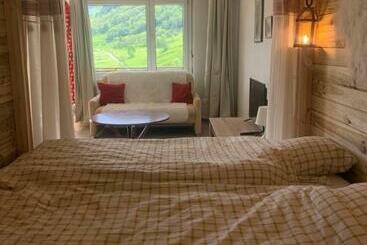 관광객 아파트 Appartement 1,5 Pièce