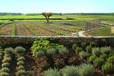 酒店 Maison Chenet   Les Chambres Entre Vigne Et Garrigue   Teritoria
