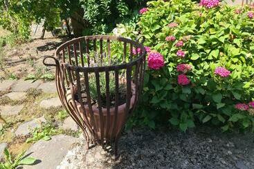 ツーリストアパートメント Historisches Backhaus