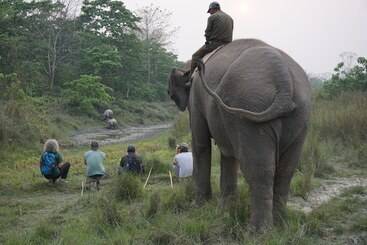 리조트 Tiger Tops Tharu Lodge