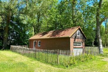 ツーリストアパートメント Hofgut Bisdamitz   Ferienhaus Knoff