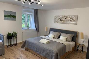 Апарт-отель Apartmány černý Kohout