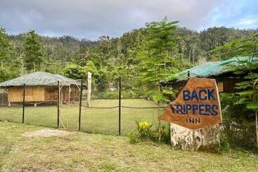 فندق صغير Back Trippers Inn