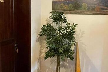 膳宿费 Vila Sofia