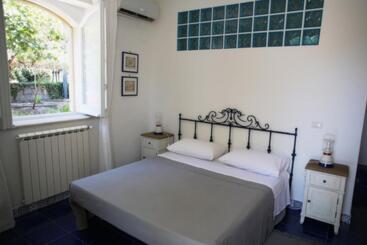 Avocado B&b Beyond