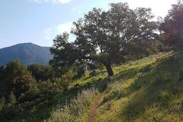 آپارتمانهای توریستها El Sueño Del Bosque