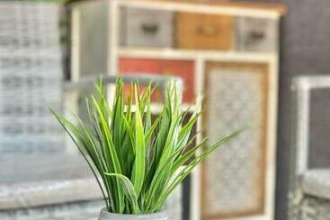 منتجع ريف العلا