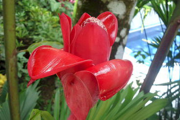 هتل Mandarina