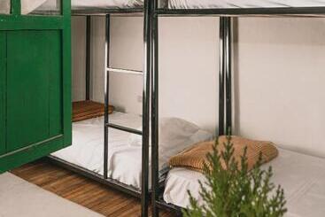 Wild Monkey Hostel