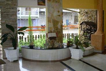 هتل Vieira S Palace