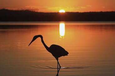 주택 Lake Weyba Cottages Noosa