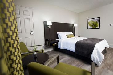 V Hotel & Suites