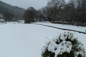هتل The Hollybrook Country Inn