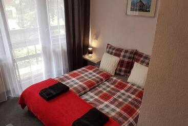 تختخواب و صبحانه Willa Grafit