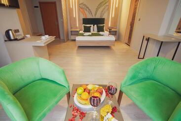 בית מלון כפרי Konak Park