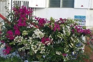 تختخواب و صبحانه Hillcrest Guest House