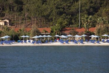 هتل D   Resort Ayvalık