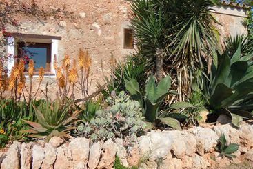 Finca Libertad