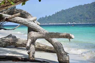 Akira Lipe Resort