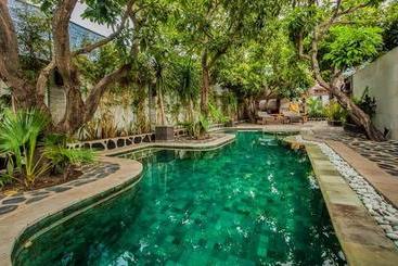 مُتل Scallywags Mango Retreat