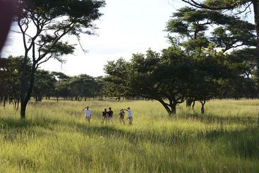 هتل Lilayi Lodge