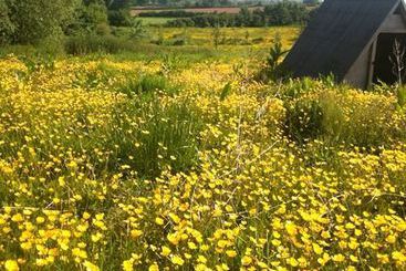 Huntstile Organic Farm