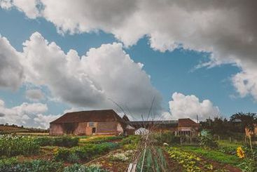 Huntstile Organic Farm