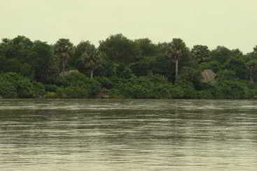 هتل Selous Wilderness Camp